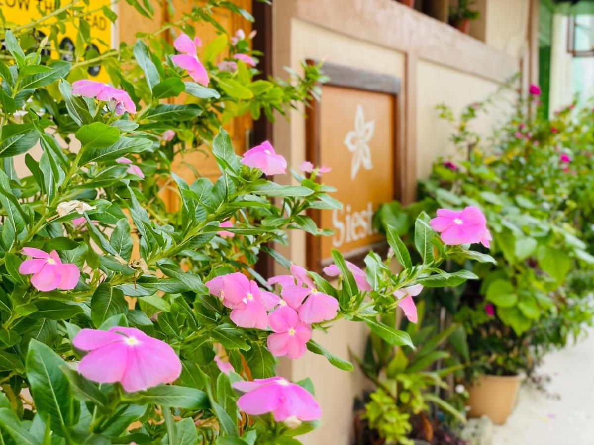 Siesta Beach Hotel Maafushi Kültér fotó